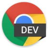 Chrome Dev 154.0.8025.0 Free Download For Window icon